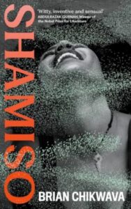 Shamiso by Brian Chikwava